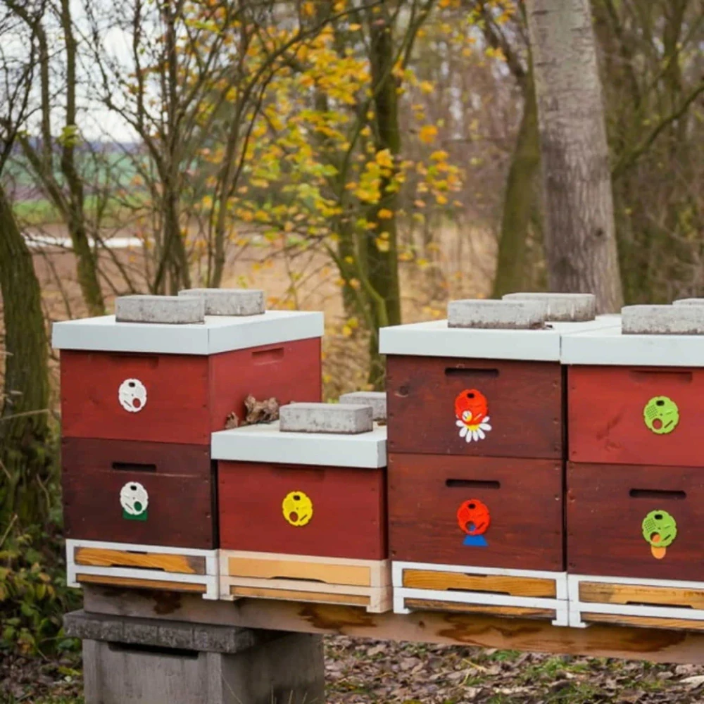 Včelařství Domovina Borůvky v medu