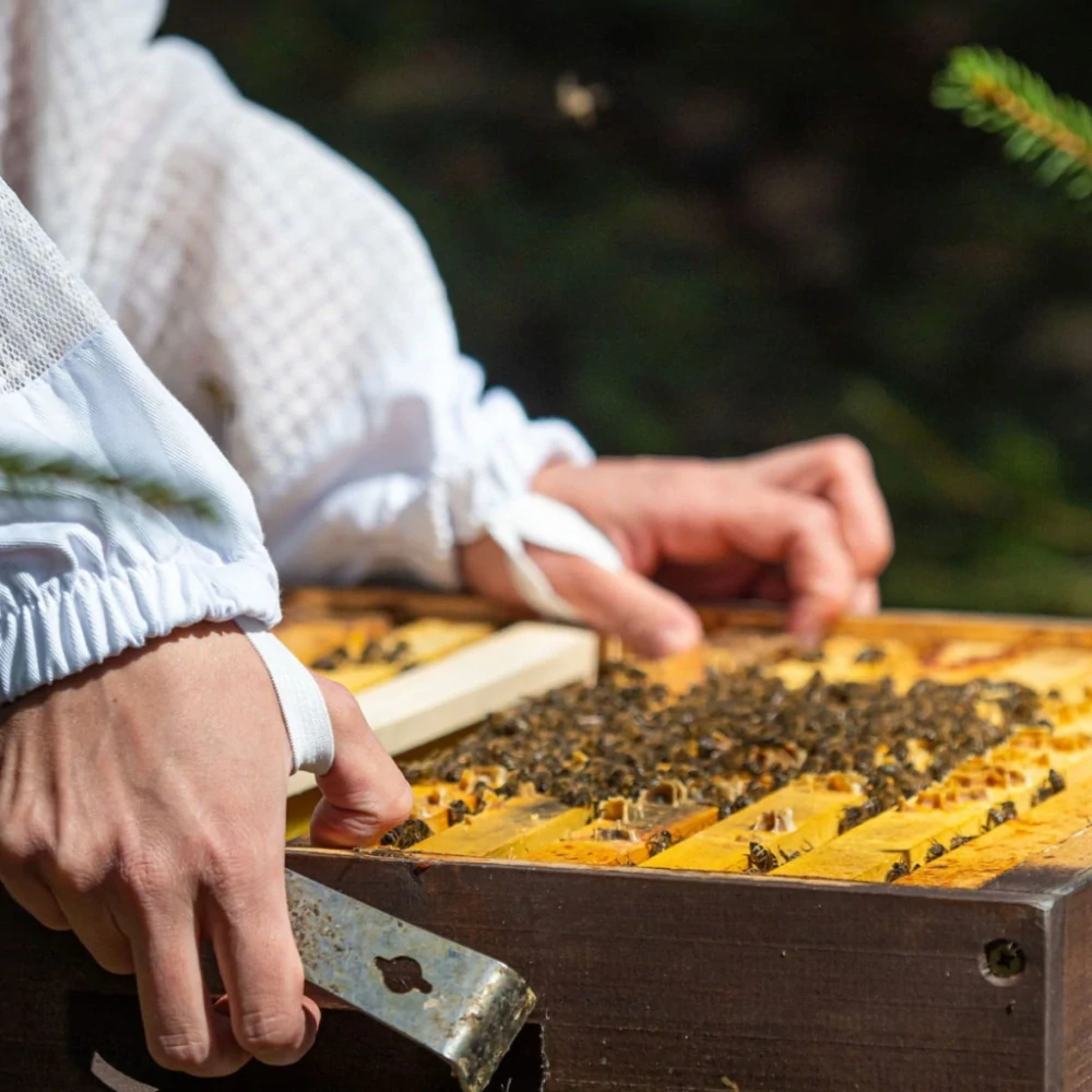 Včelařství Domovina Jablka se skořicí v medu 75 g